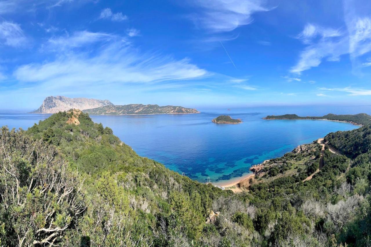 San Teodoro Punta Est Curatissimo Bilocale Daire Capo Coda Cavallo Dış mekan fotoğraf