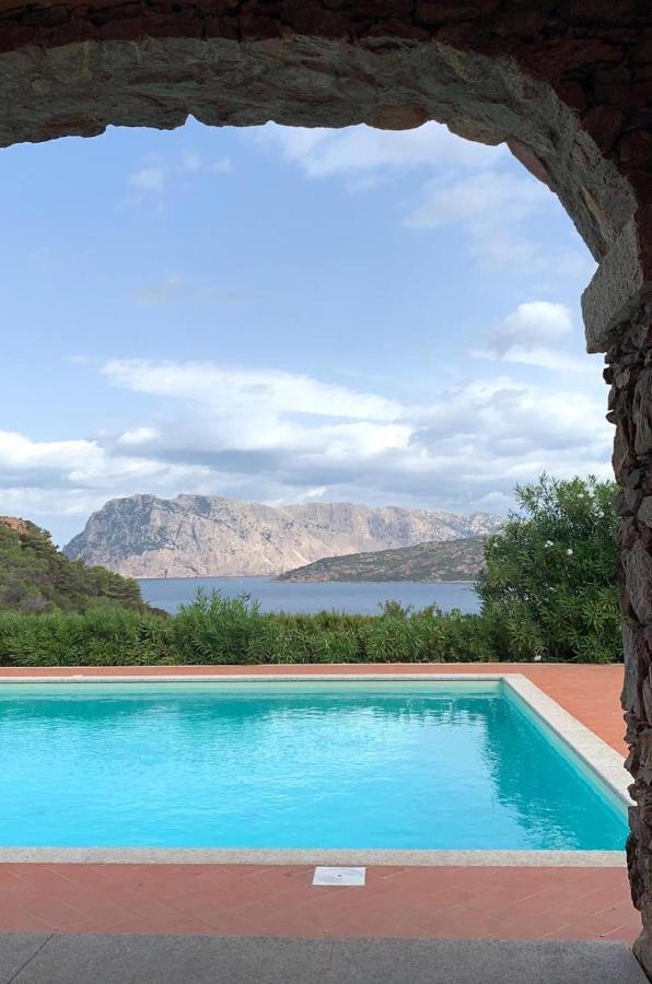 San Teodoro Punta Est Curatissimo Bilocale Daire Capo Coda Cavallo Dış mekan fotoğraf