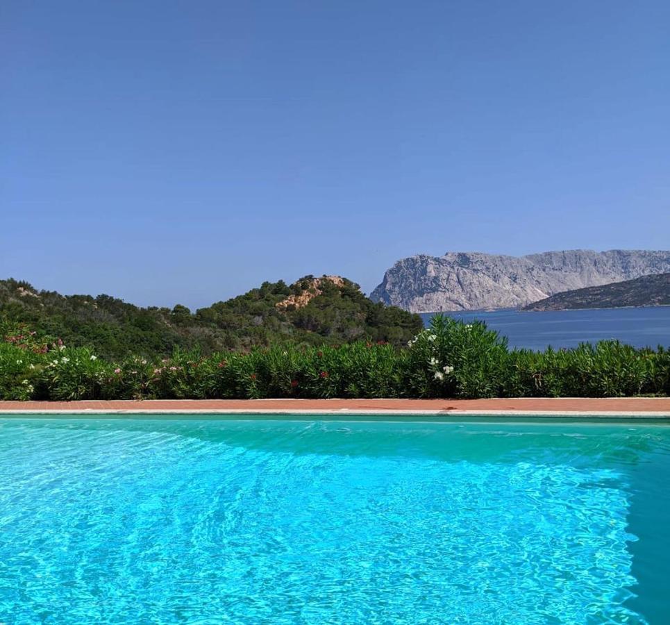 San Teodoro Punta Est Curatissimo Bilocale Daire Capo Coda Cavallo Dış mekan fotoğraf