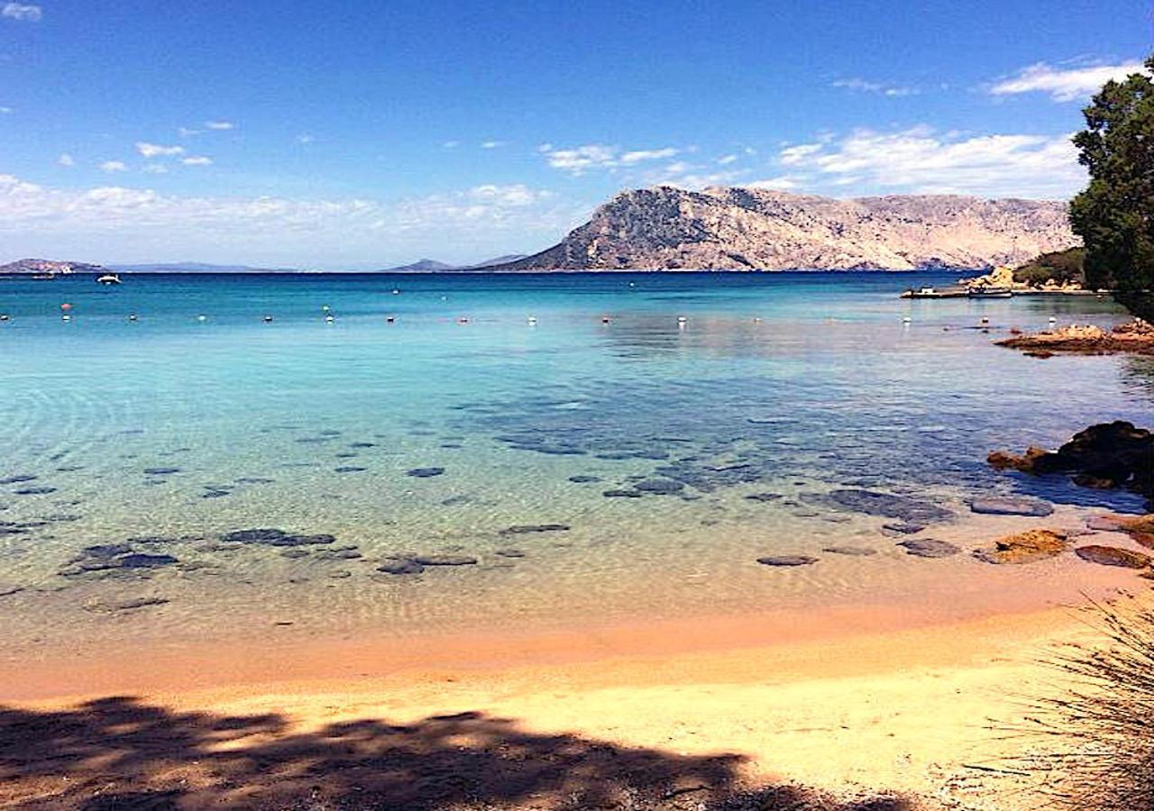 San Teodoro Punta Est Curatissimo Bilocale Daire Capo Coda Cavallo Dış mekan fotoğraf