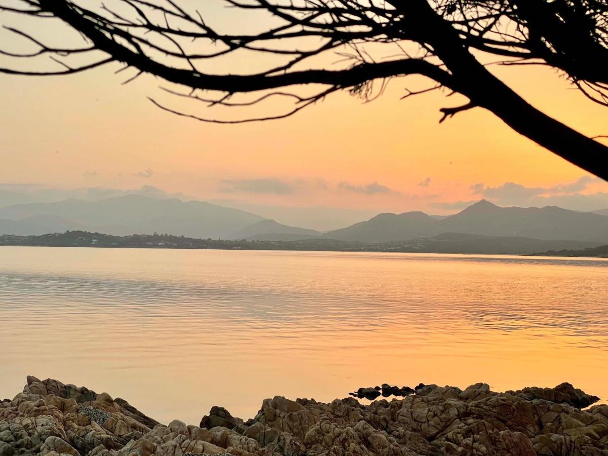 San Teodoro Punta Est Curatissimo Bilocale Daire Capo Coda Cavallo Dış mekan fotoğraf