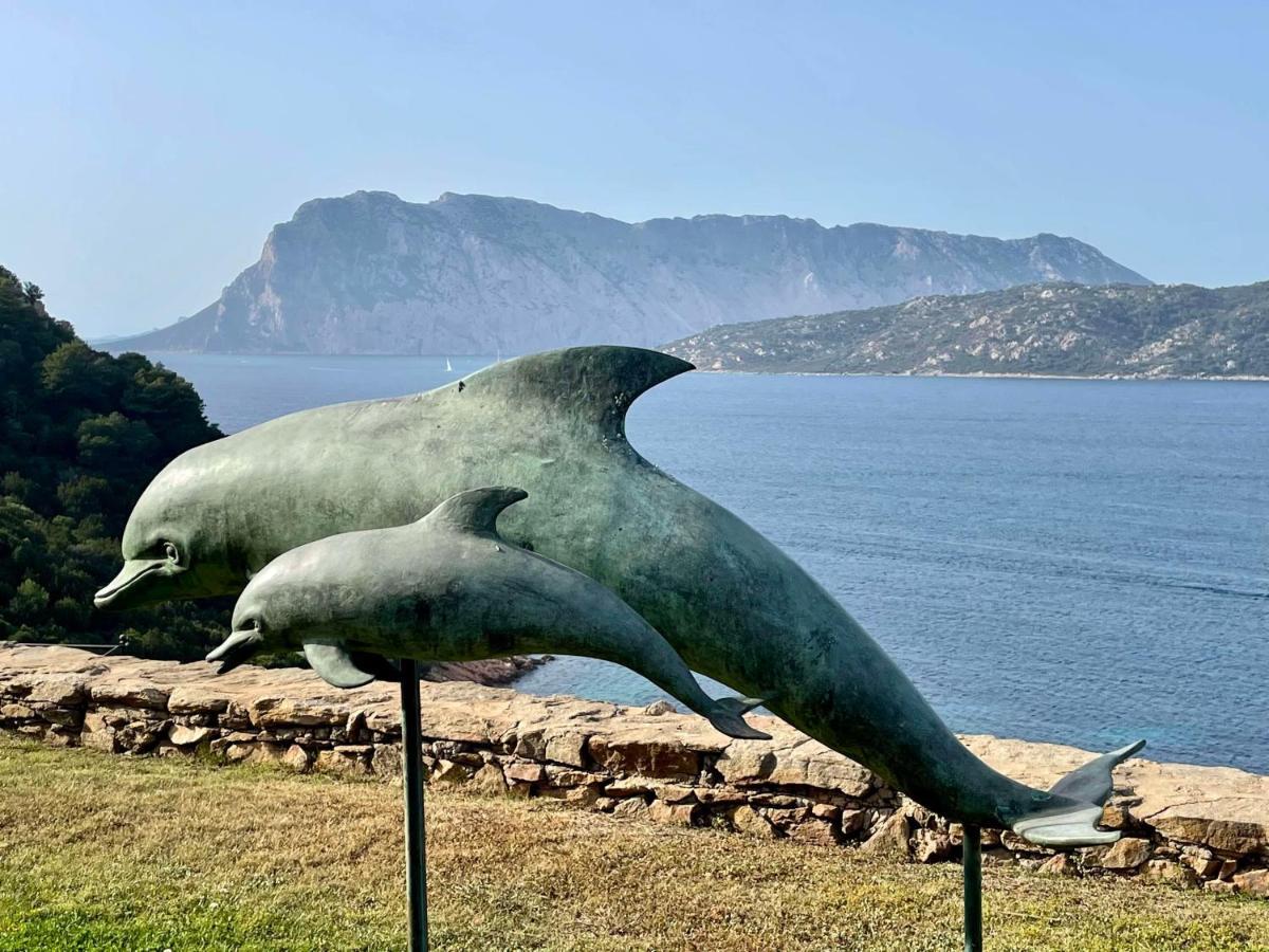 San Teodoro Punta Est Curatissimo Bilocale Daire Capo Coda Cavallo Dış mekan fotoğraf