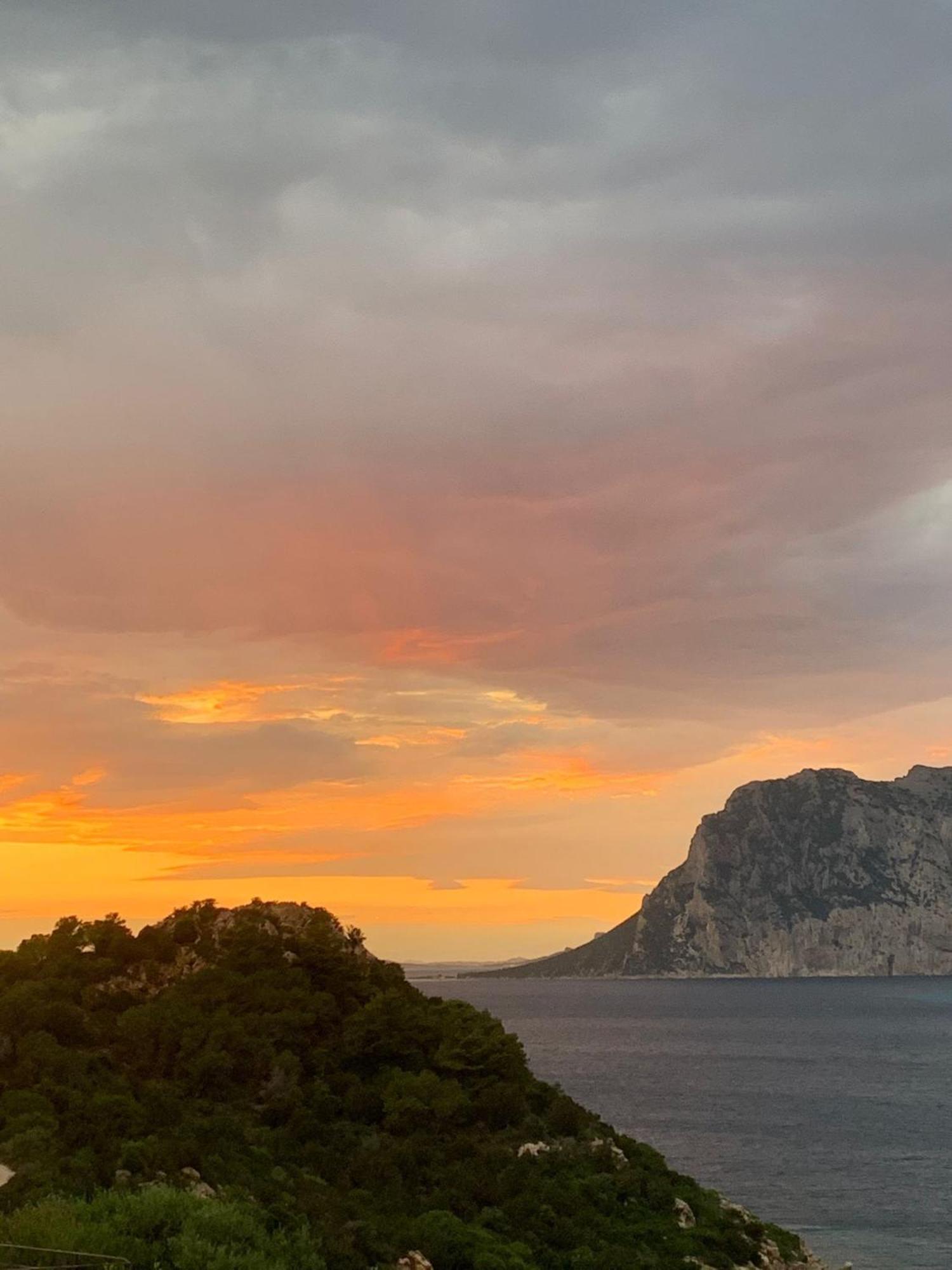 San Teodoro Punta Est Curatissimo Bilocale Daire Capo Coda Cavallo Dış mekan fotoğraf